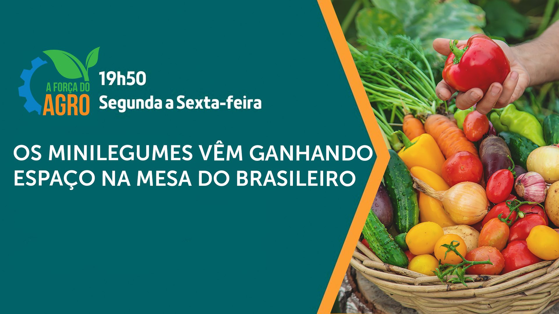 A Força do Agro #216: assista ao programa de 8/5/2024