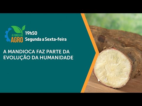 Projeto constituinte de 1823 ficou conhecido como Constituição da Mandioca