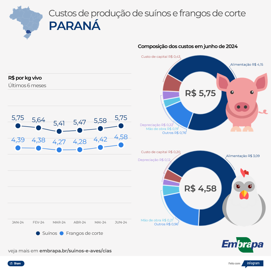 Custos de produção de frangos de corte e suínos aumentam em maio; entenda