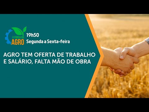 Agro tem oferta de trabalho e salário; falta mão de obra