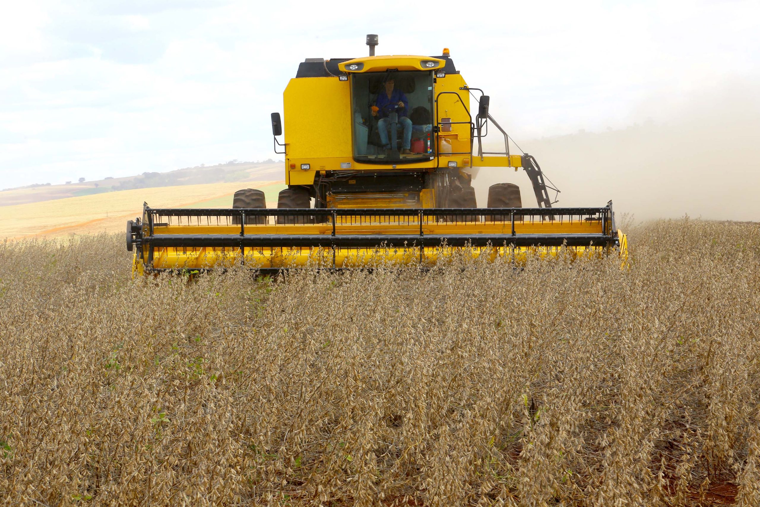 Brasil pode ter valor recorde de produção agropecuária — mas não em dólares